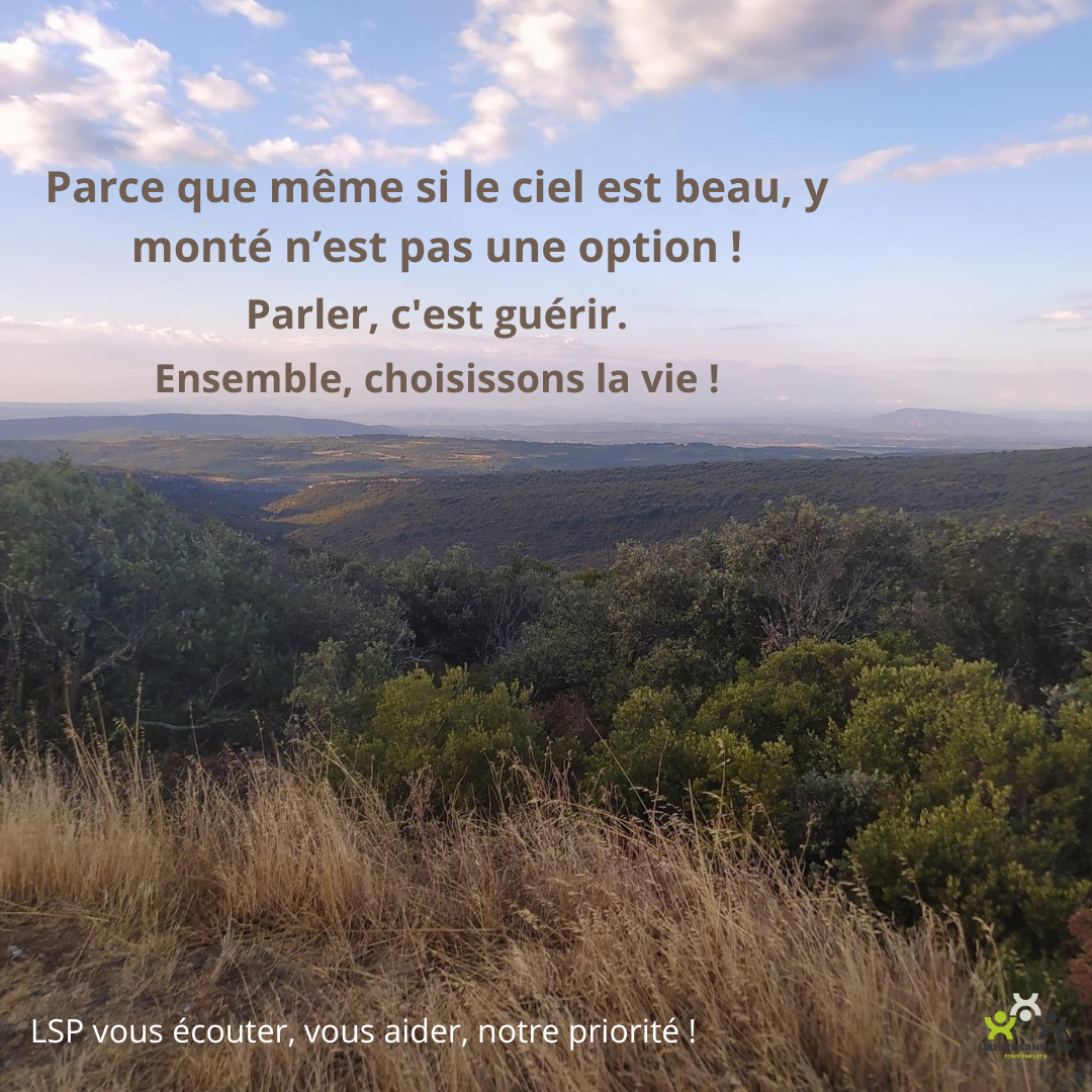 Affiche LSP - Liberté Sans Peur